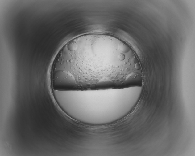 X0000102541483200808081040