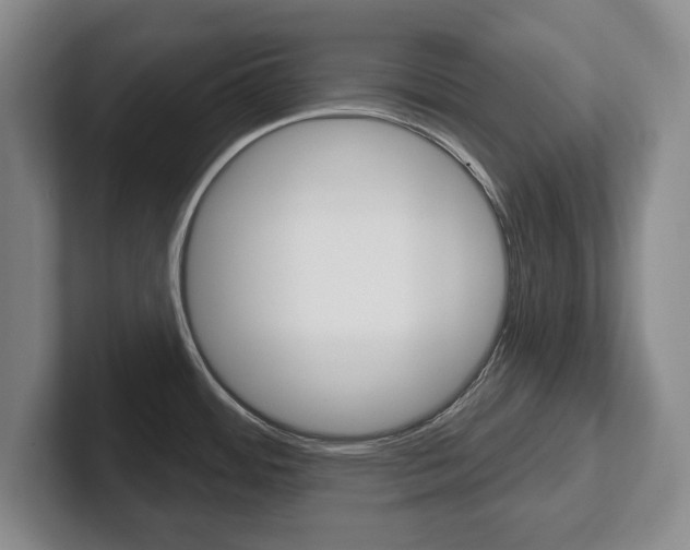 X0000102541484200808081040