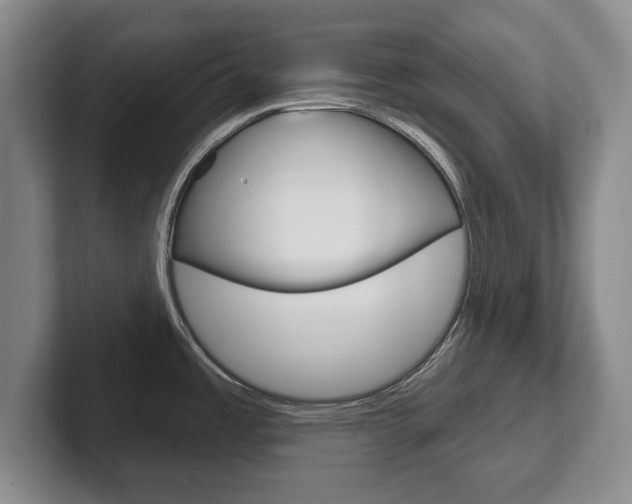 X0000102541485200808081040