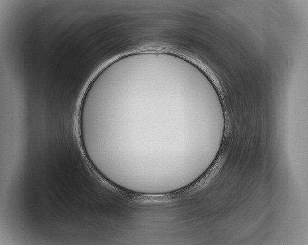 X0000102541486200808081040