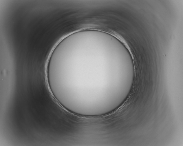 X0000102541488200808081040