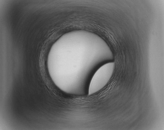 X0000102541489200808081039