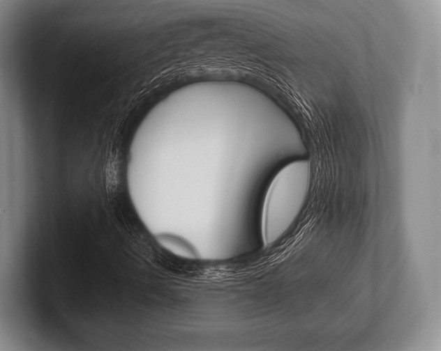 X0000102541490200808081039