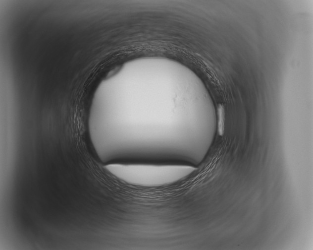 X0000102541491200808081039