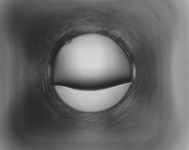 X0000102541492200808081039