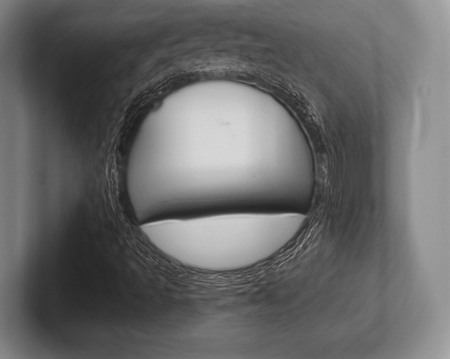 X0000102541493200808081039