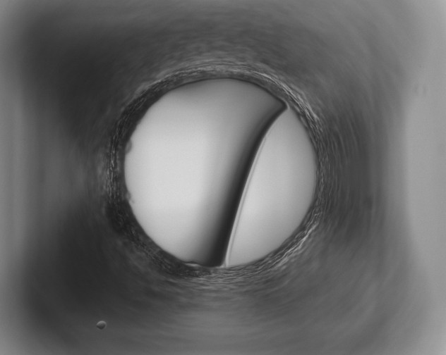 X0000102541494200808081039