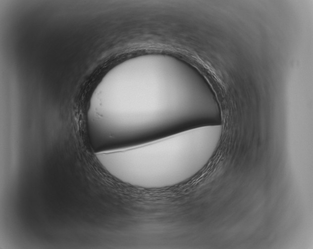 X0000102541495200808081039