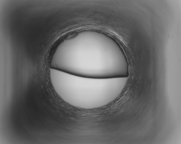 X0000102541496200808081039