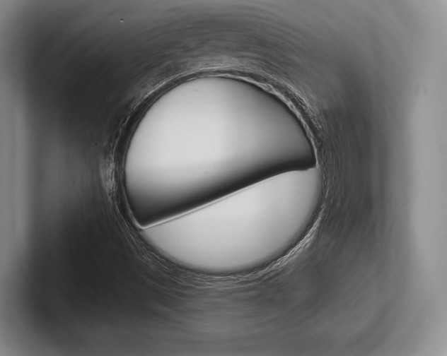 X0000102541497200808081039