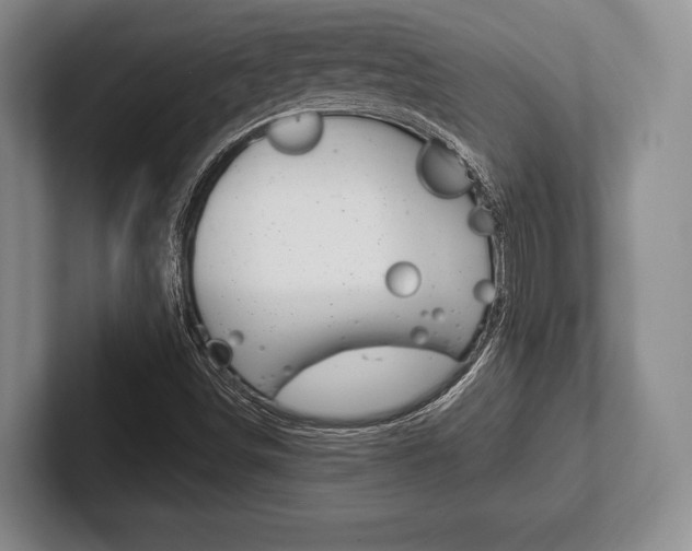 X0000102541498200808081039
