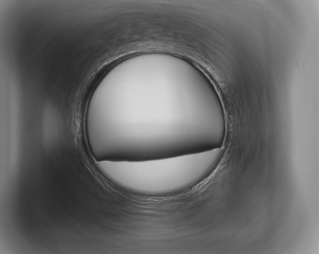 X0000102541499200808081039
