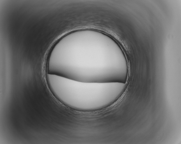 X0000102541500200808081039