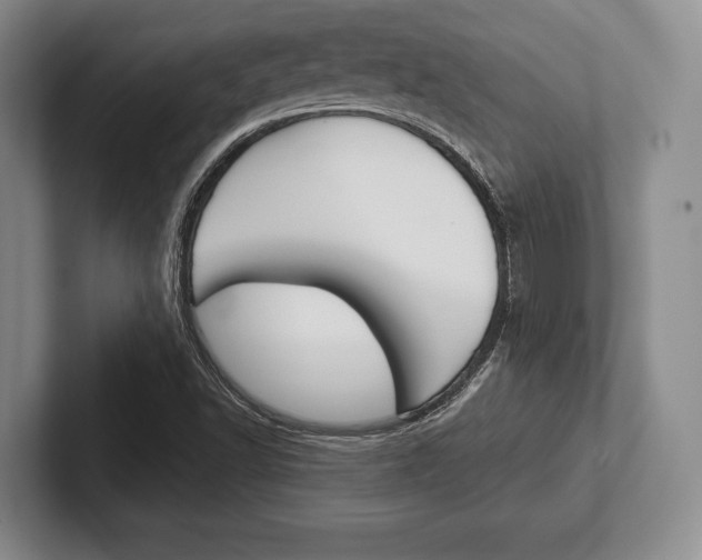X0000102541502200808081039