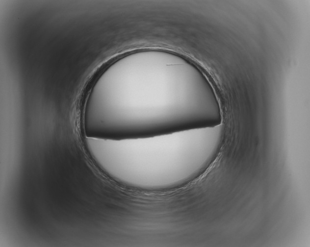 X0000102541503200808081039