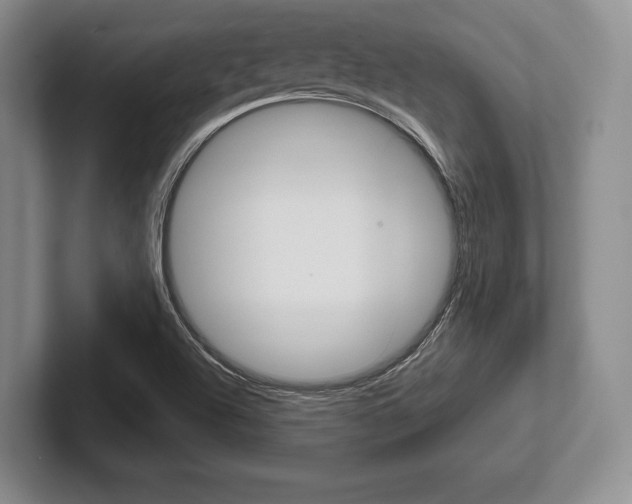 X0000102541504200808081039