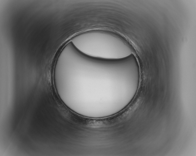 X0000102541505200808081039