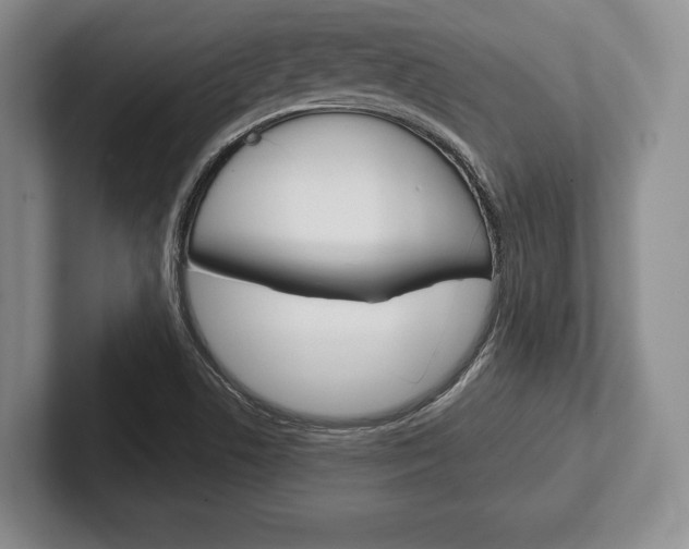 X0000102541506200808081039