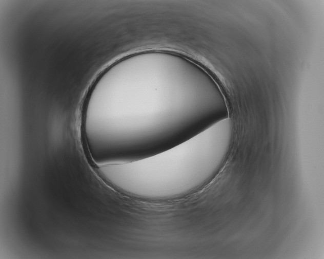 X0000102541508200808081039