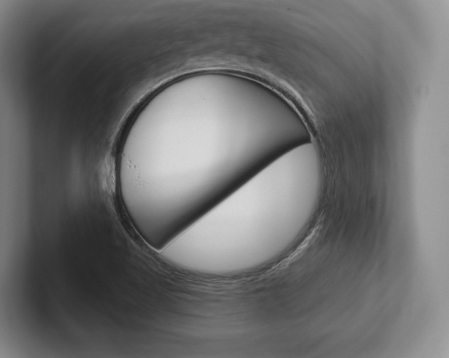X0000102541509200808081039