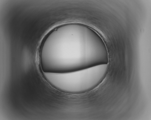 X0000102541510200808081039