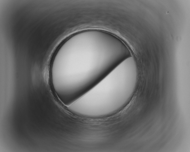 X0000102541511200808081039