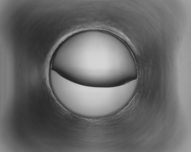 X0000102541512200808081039
