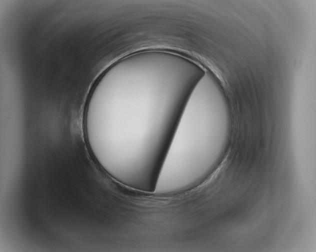 X0000102541513200808081039