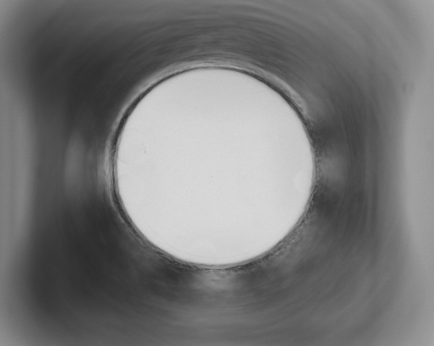 X0000102541514200808081039