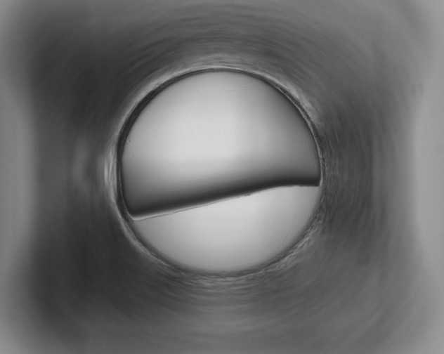 X0000102541515200808081039