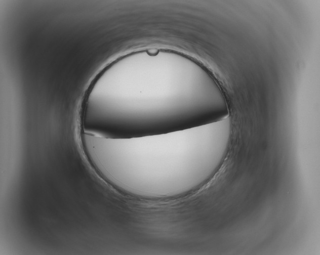 X0000102541518200808081040