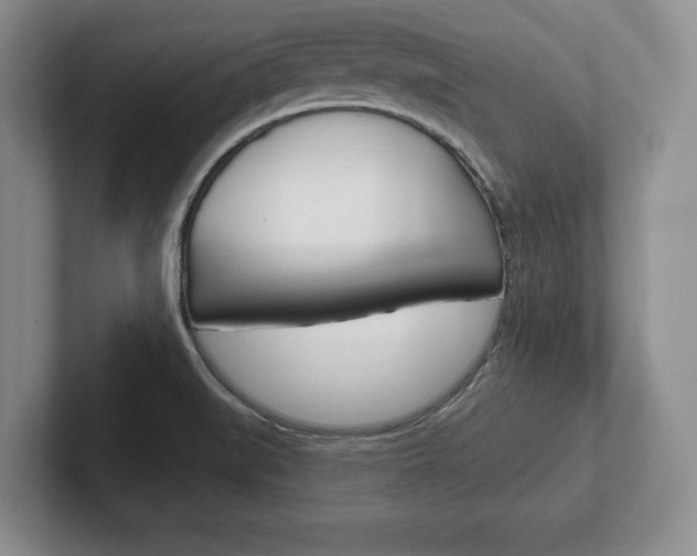 X0000102541519200808081040