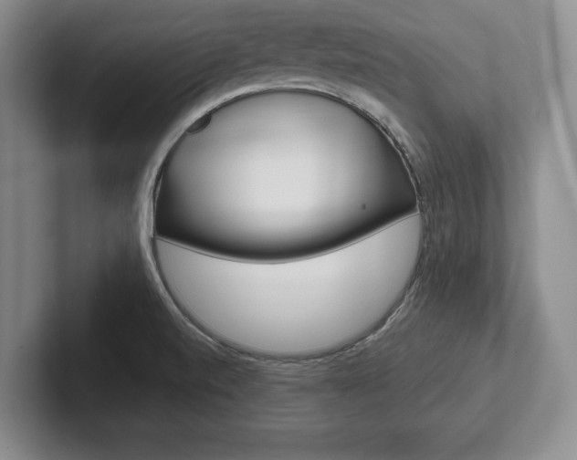 X0000102541520200808081040