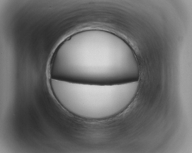 X0000102541522200808081040