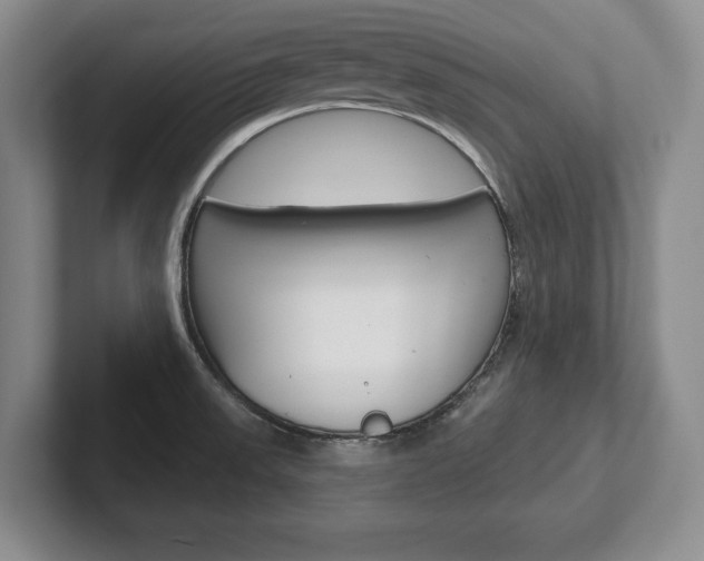 X0000102541523200808081040