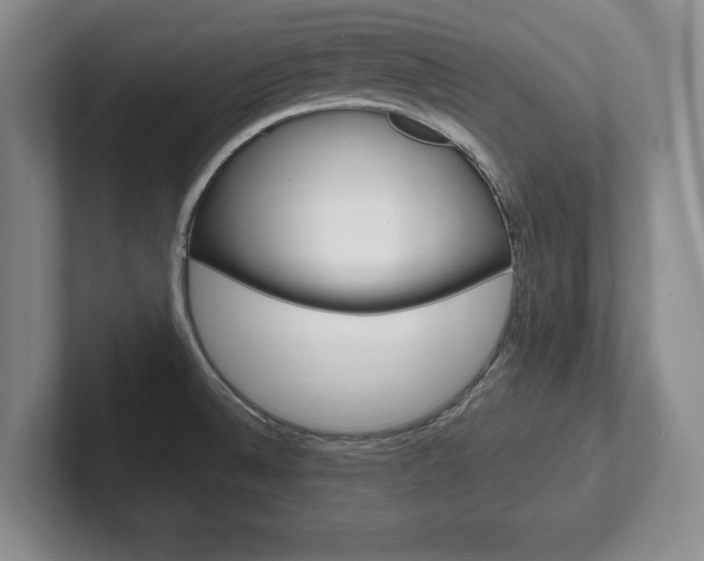 X0000102541524200808081040