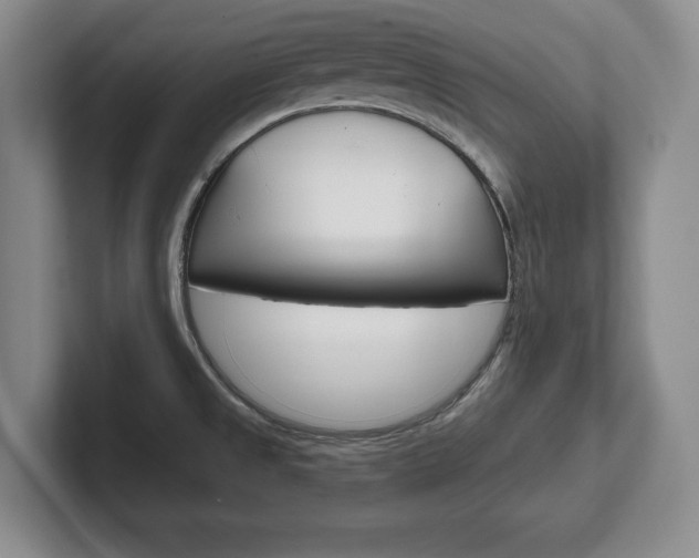 X0000102541525200808081040