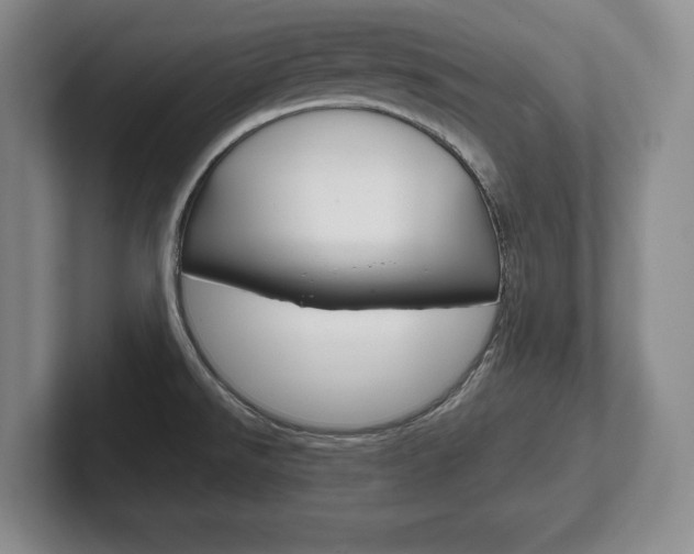 X0000102541526200808081040