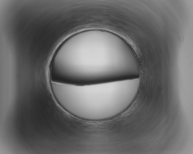 X0000102541527200808081040