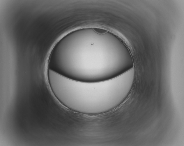 X0000102541528200808081040