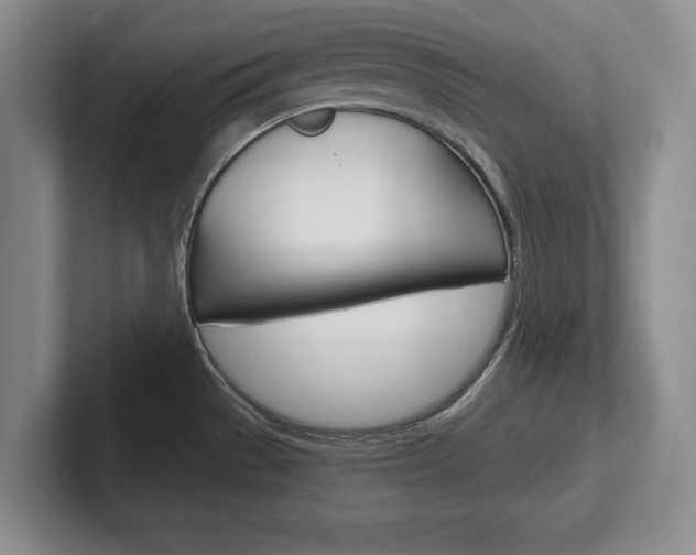 X0000102541529200808081040
