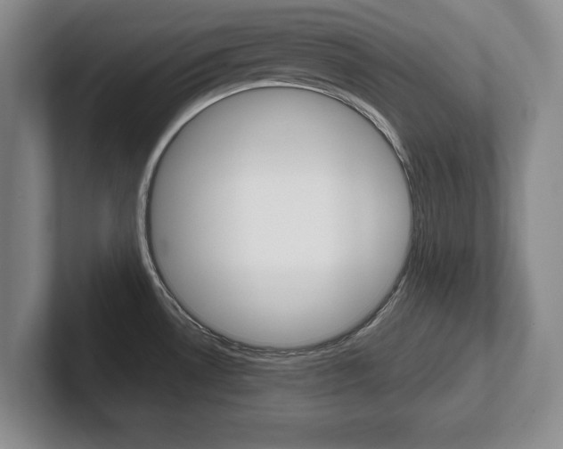 X0000102541530200808081040