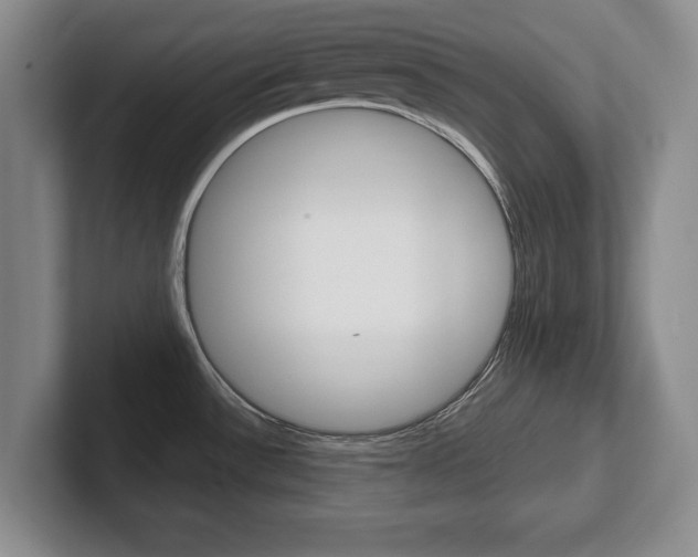 X0000102541532200808081040