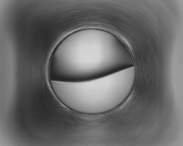 X0000102541533200808081040