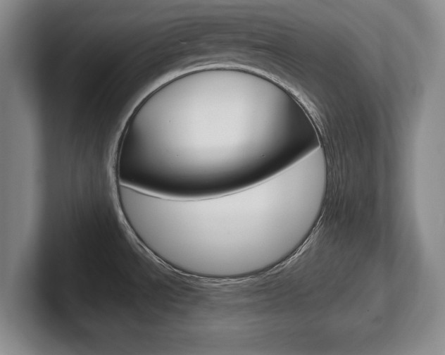 X0000102541534200808081040