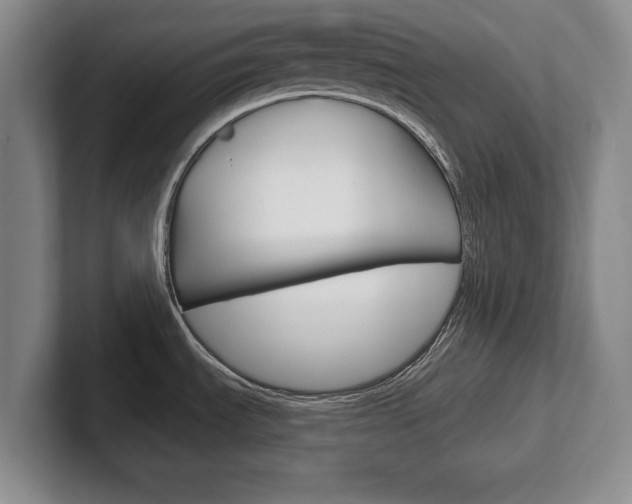 X0000102541535200808081040