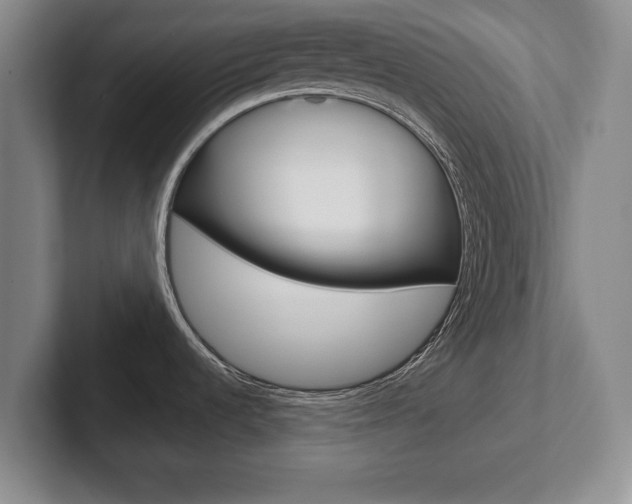 X0000102541536200808081040