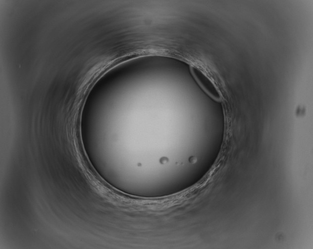 X0000102540001200808081532