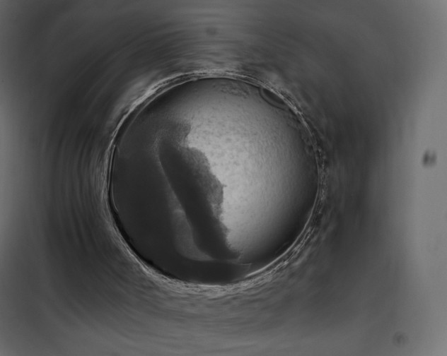 X0000102540002200808081532