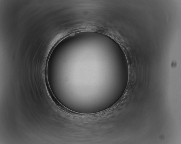 X0000102540003200808081532